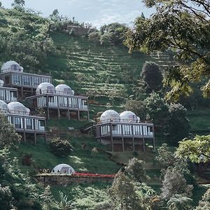Damar Langit Resort